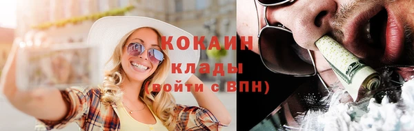 ГАЛЛЮЦИНОГЕННЫЕ ГРИБЫ Коряжма