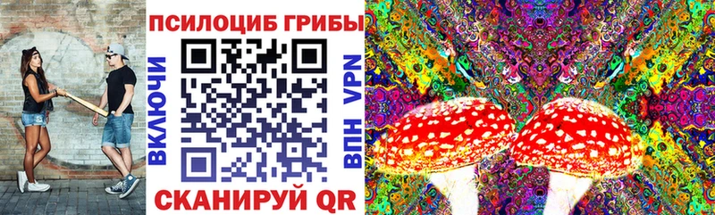 Купить закладки  Дзержинский  Галлюциногенные грибы ЛСД 